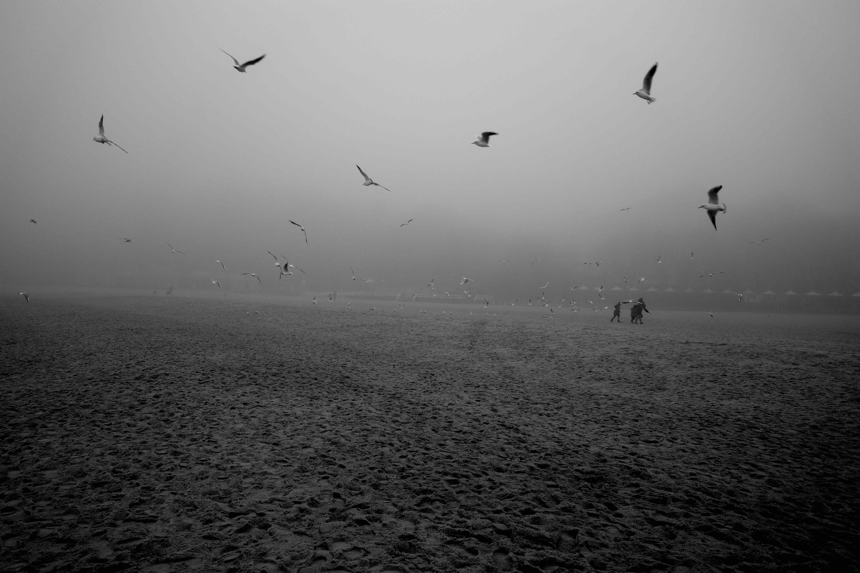The Pale Threshold 01