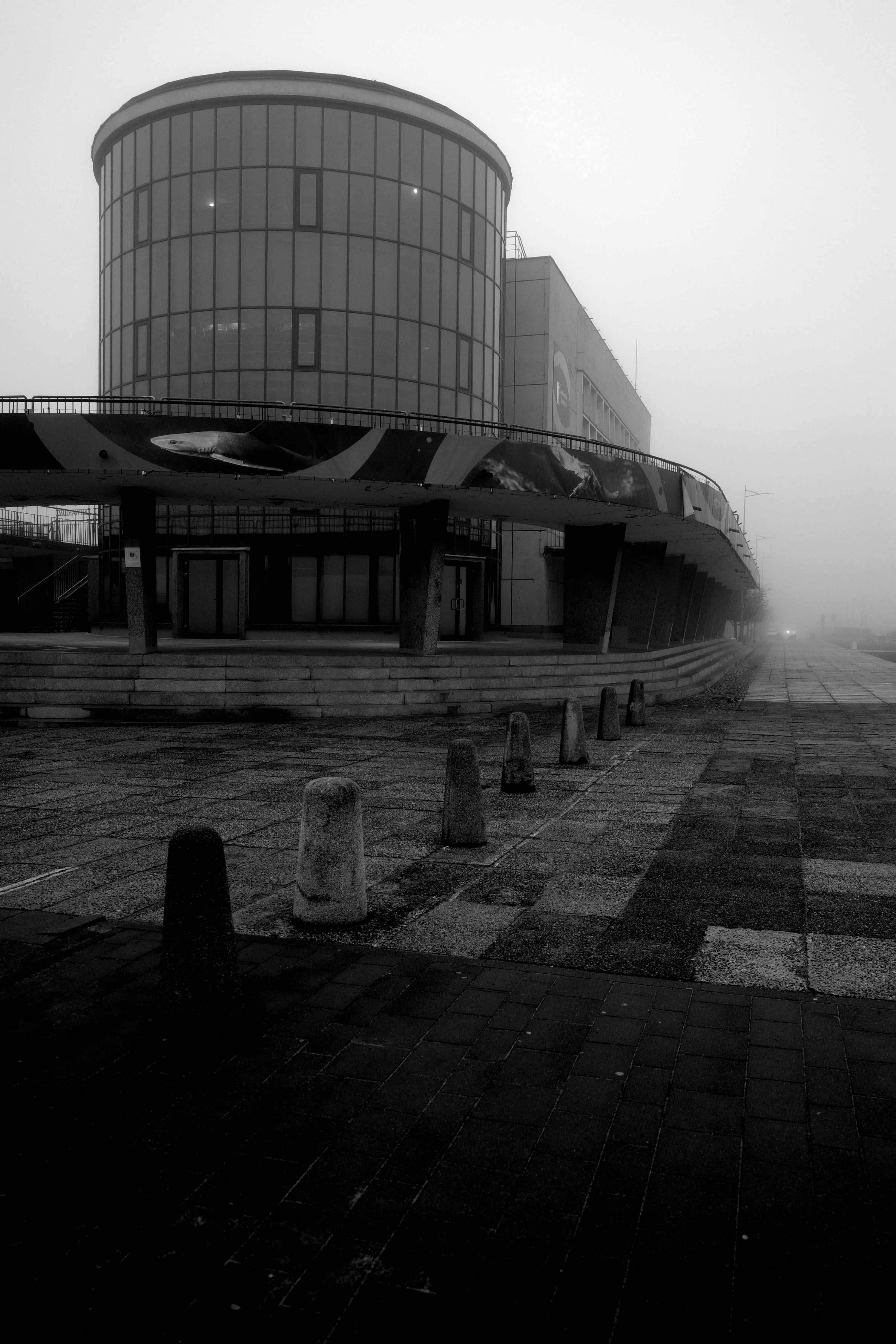 The Pale Threshold 06