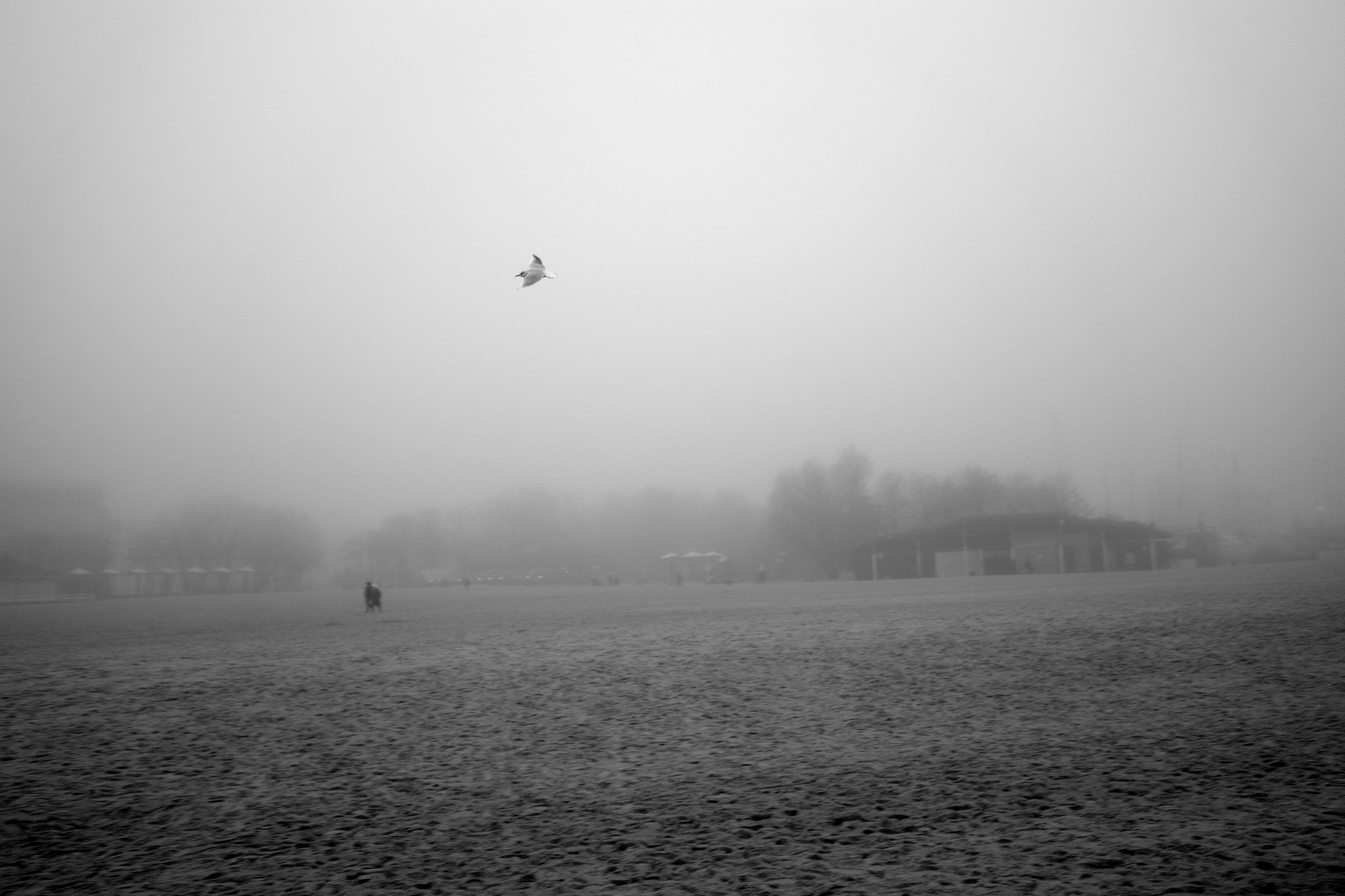 The Pale Threshold 07