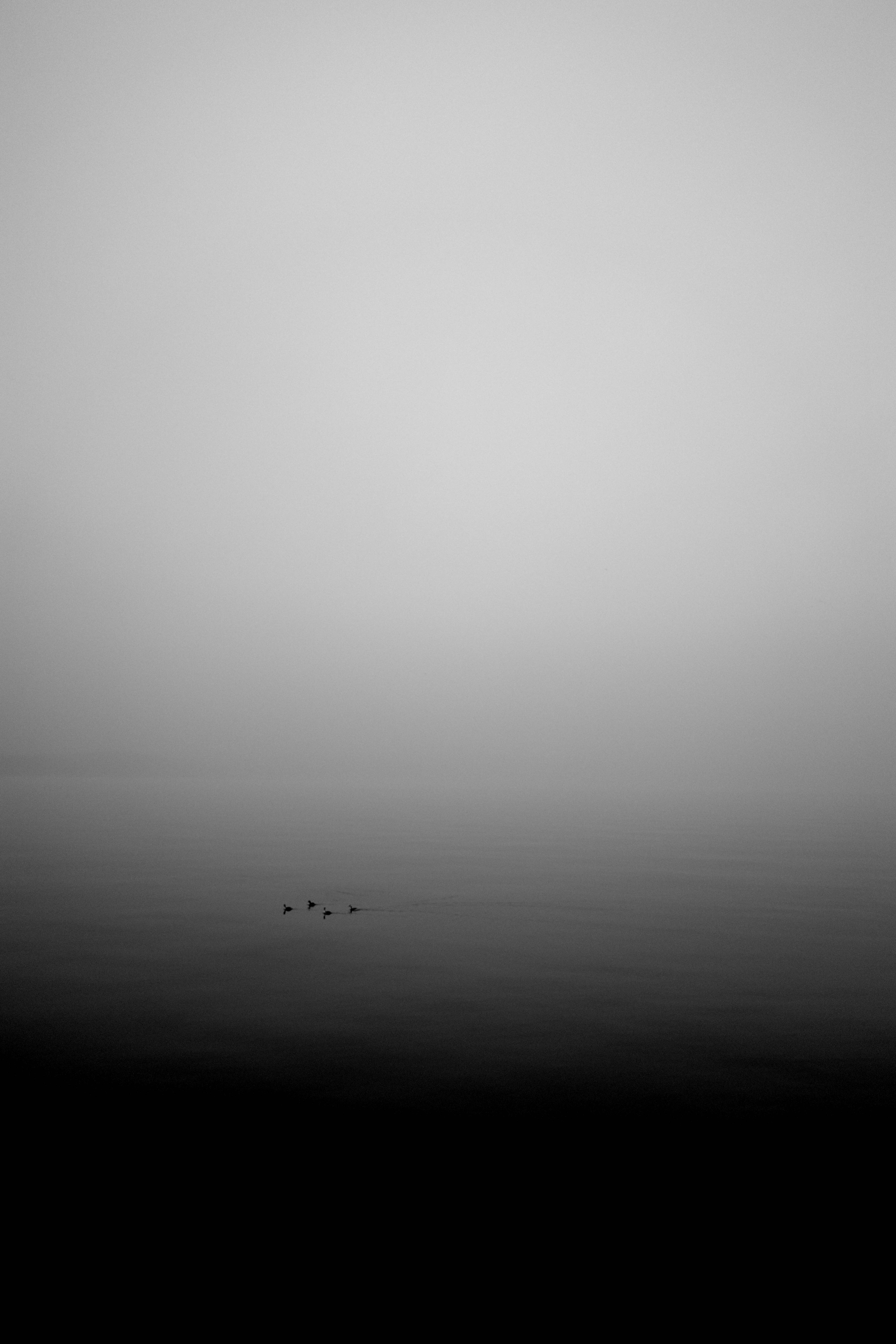 The Pale Threshold 09