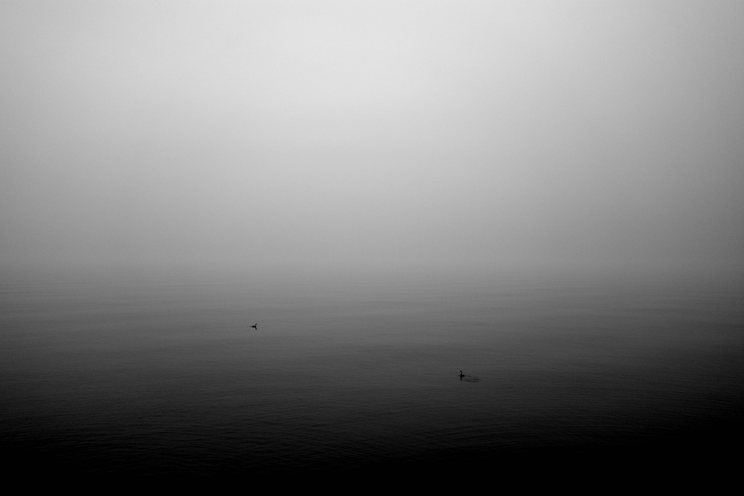 The Pale Threshold 10